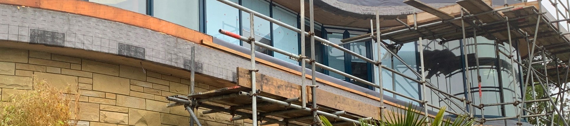 What Makes Us Different